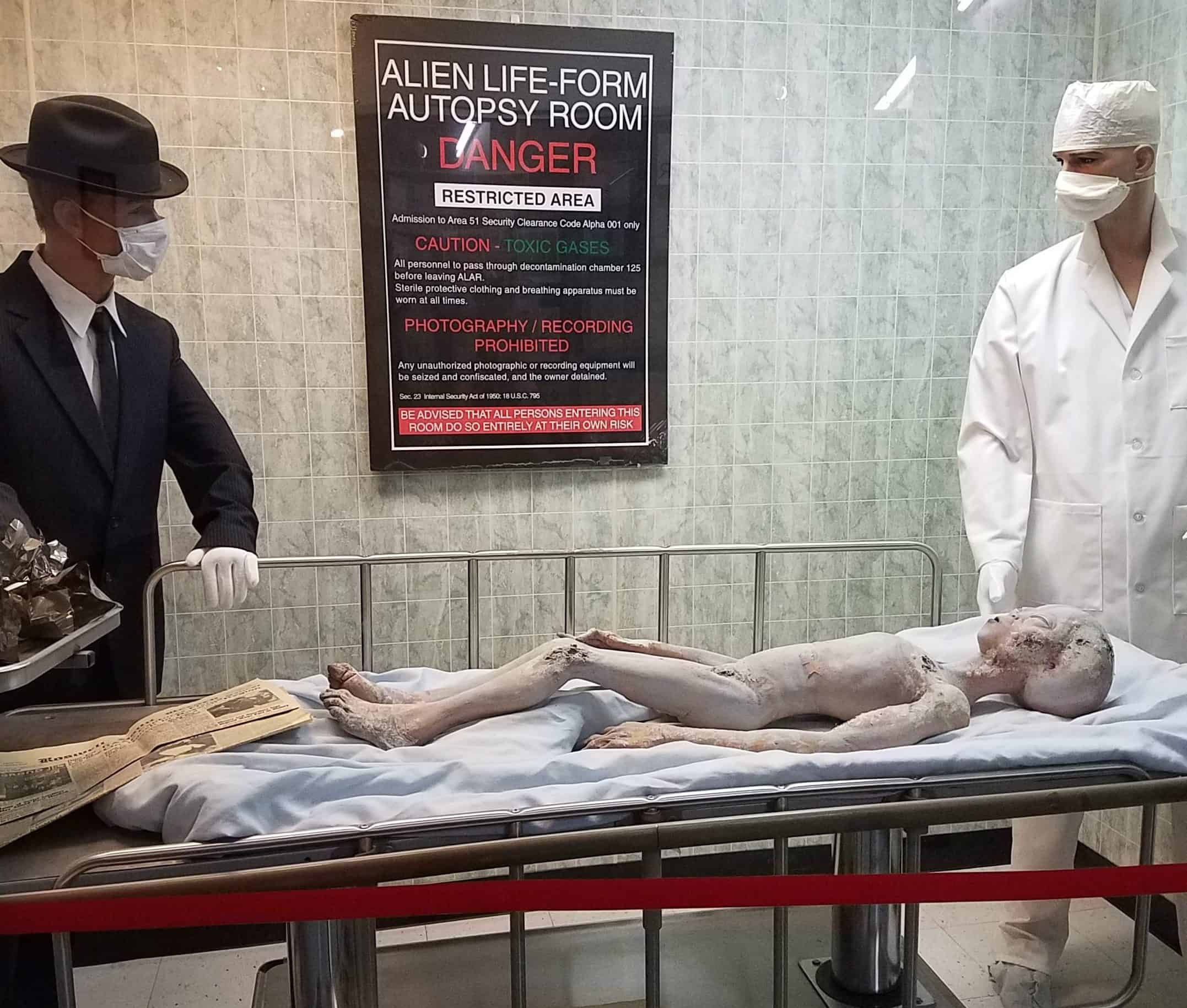 Alien autopsy
